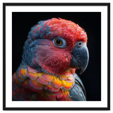 Close Up Parrot Face Red Blue Yellow Plumage thumbnail