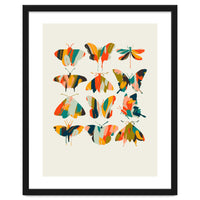 Colorful Butterflies