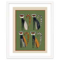 Striped Lemurs