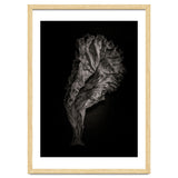 Leaves No 9 thumbnail