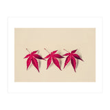 Dancing Leaves (Print Only) thumbnail