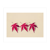 Dancing Leaves (Print Only)