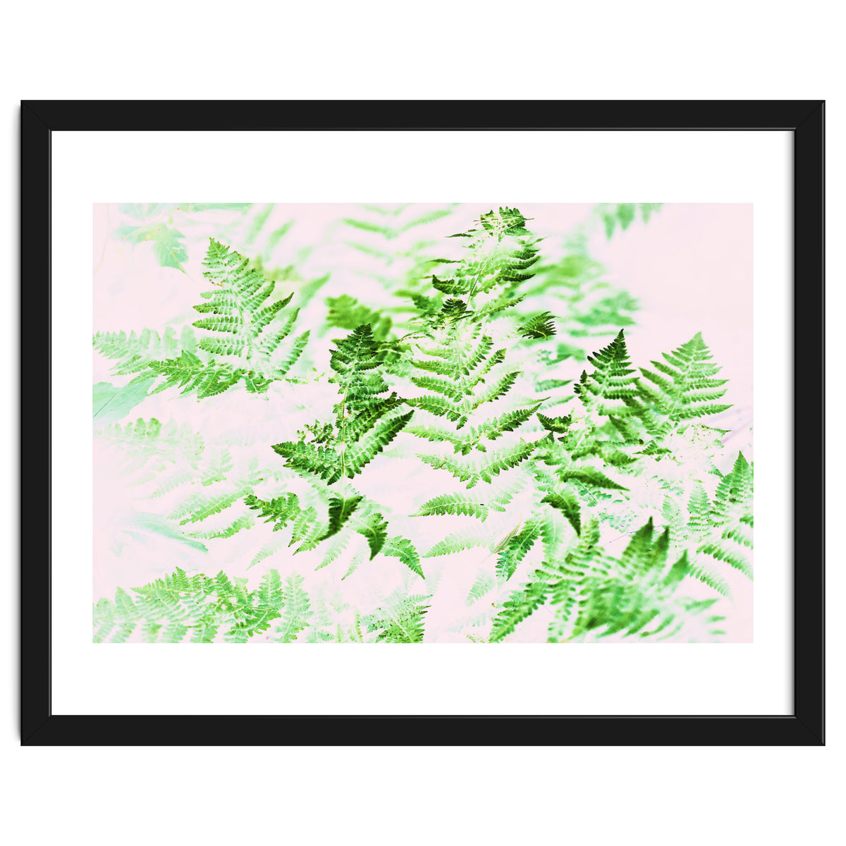 Fern Forest #society6 #decor #buyart