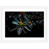 Orange, Green and Dark thumbnail