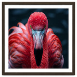 Close Up Flamingo Face With Water Droplets thumbnail