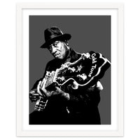 Taj Mahal American Blues Musician Legend