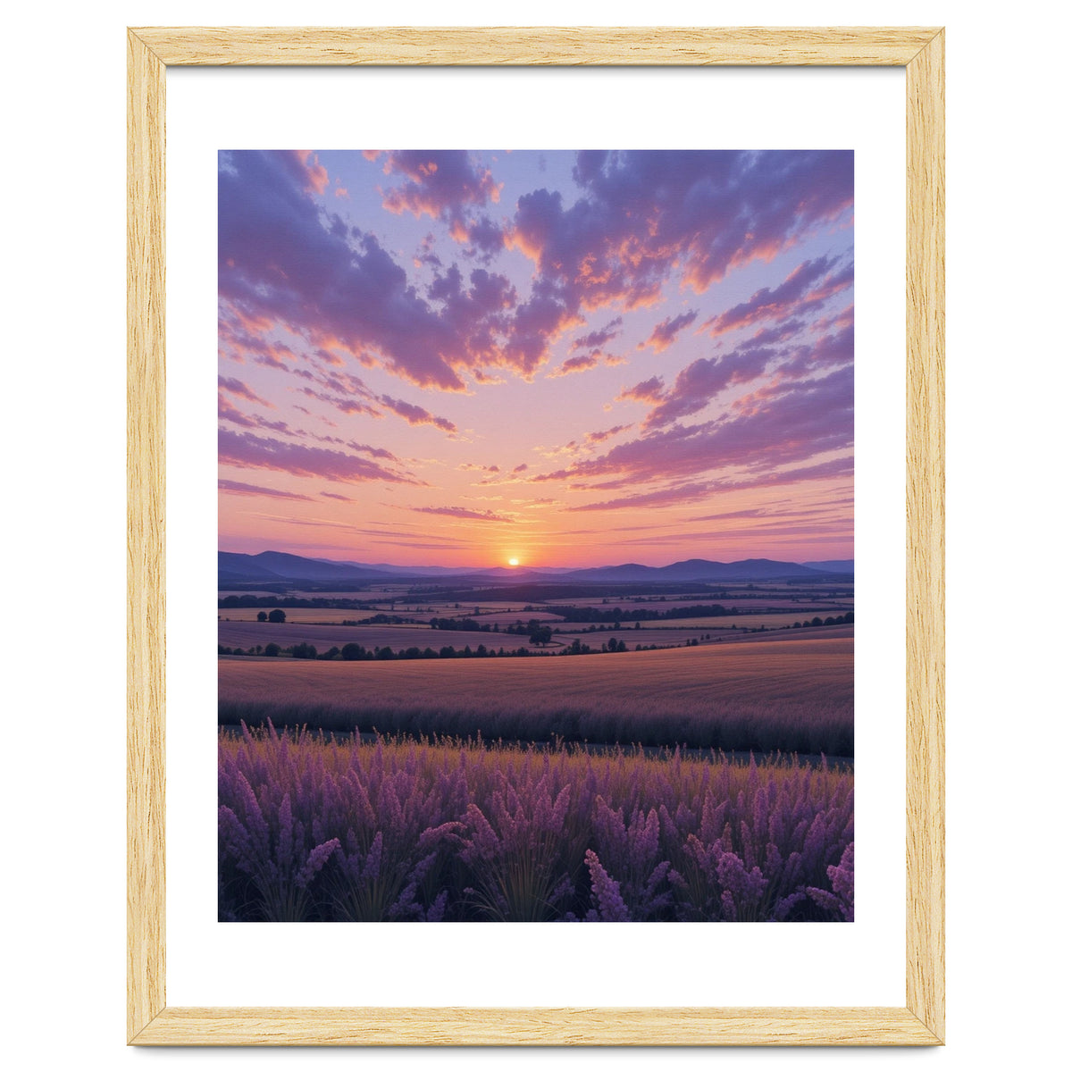 Serene Lavender Fields at Golden Hour Sunset