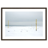 Seagulls in between the volleyball poles in winter snow beach thumbnail