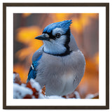 Blue Jay Bird In Winter Snowfall And Leaves thumbnail