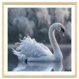 Majestic White Swan Gracefully Floating On Water thumbnail