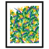Summer Strelitzia thumbnail
