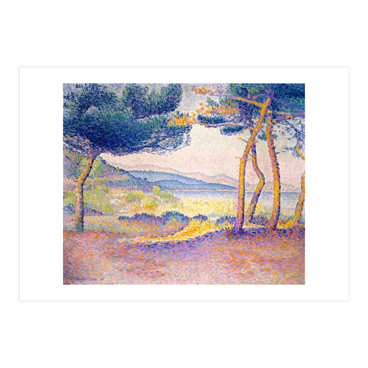 Pines Along the Shore. (Print Only)