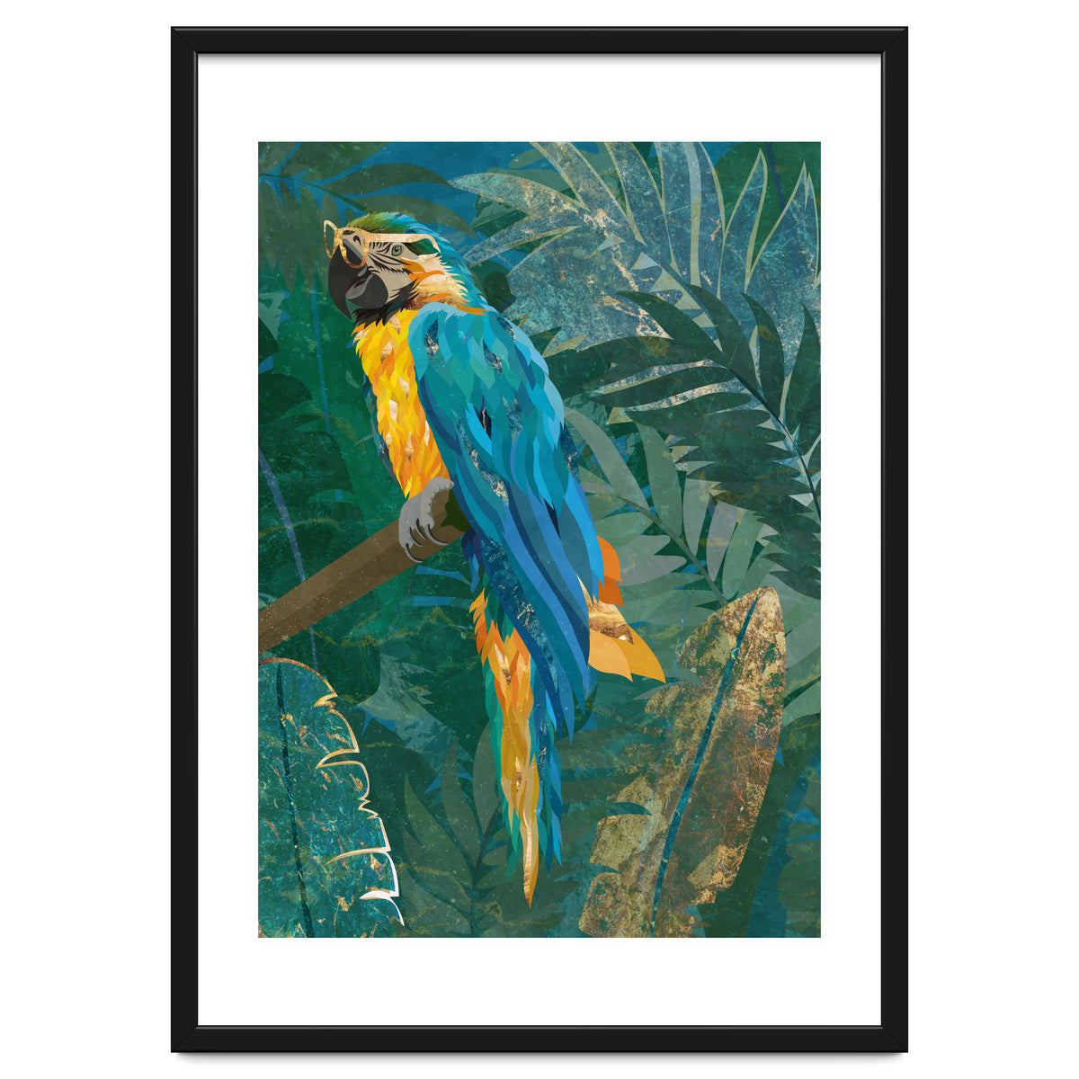 Macaw in the jungle
