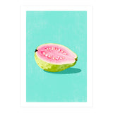 Guava Fruit Illustration (Print Only) thumbnail