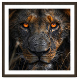 Majestic Lion Face Intense Orange Eyes Close Up thumbnail