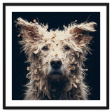 Old Dog 06 thumbnail
