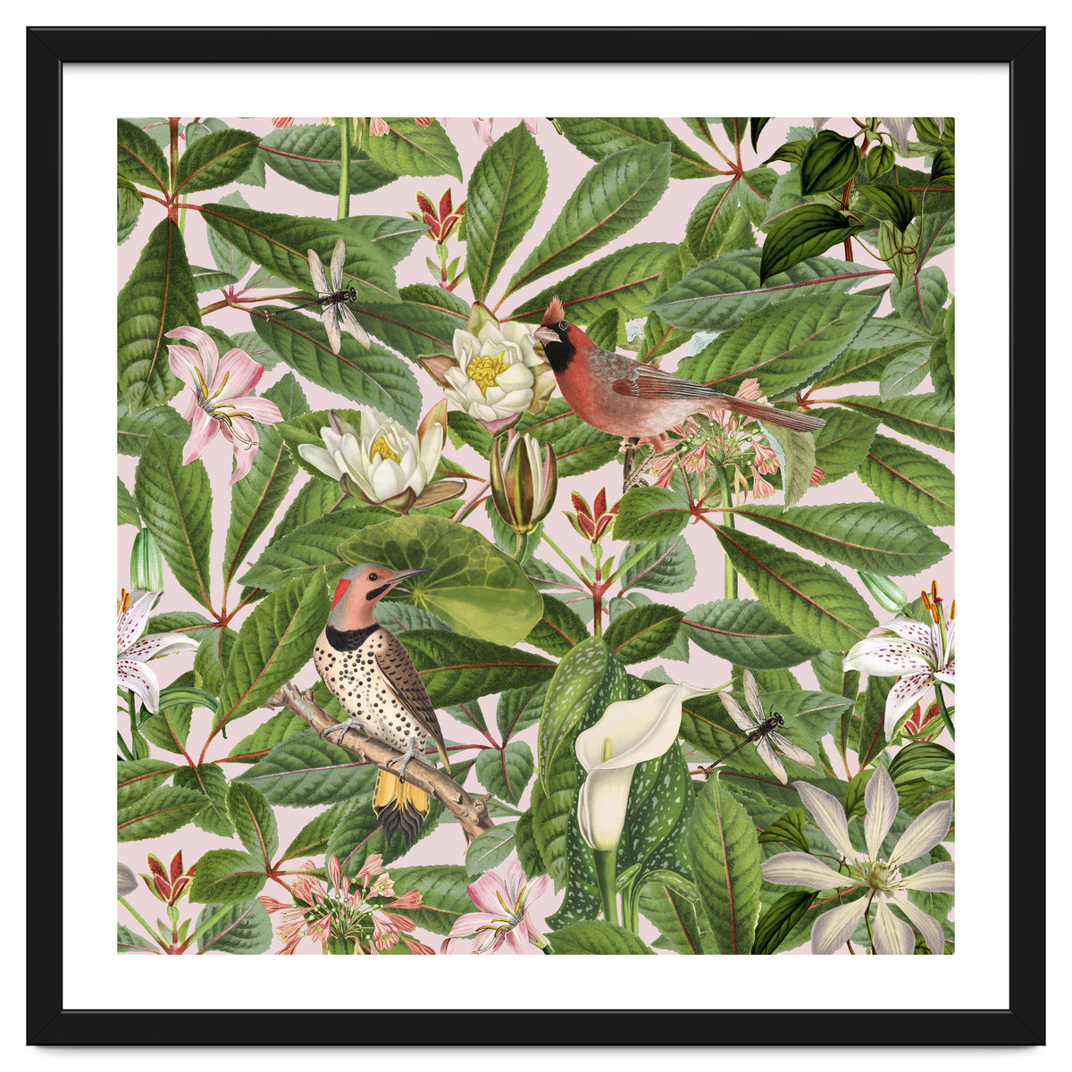 Tropical Bird Garden