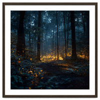 Enchanted Midnight Forest with Glowing Fireflies