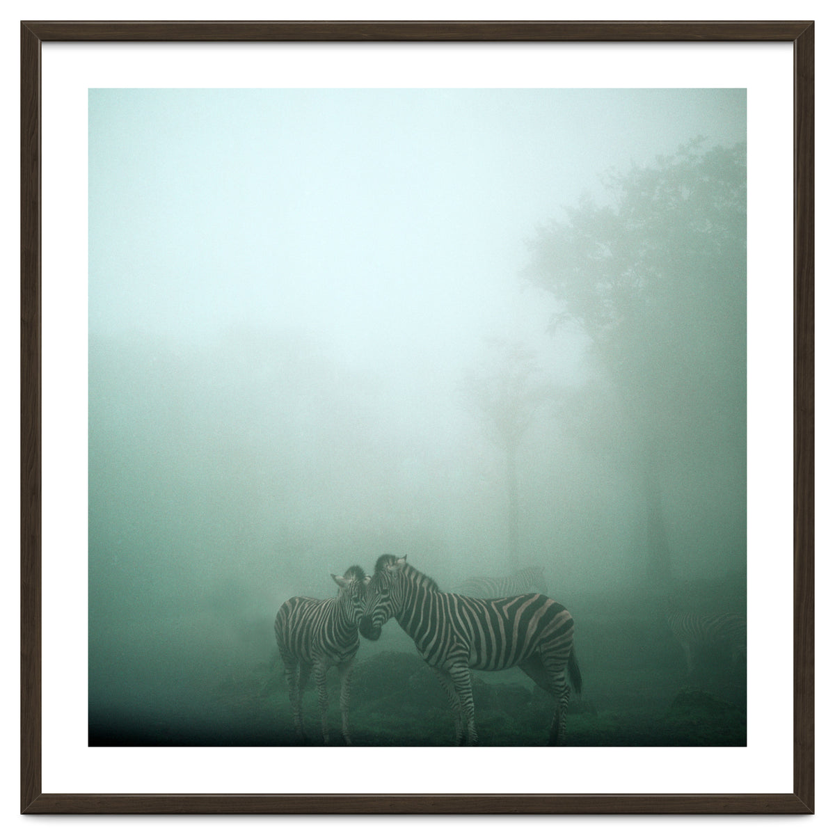 Silence of breath - 11