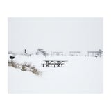 Tables and benches in a snow-covered park (Print Only) thumbnail