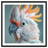 Salmon Crested Cockatoo Close Up Portrait thumbnail