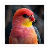 Vibrant Tropical Bird  (Print Only) thumbnail