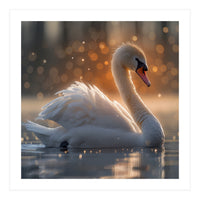 Majestic Swan Gliding On Water During Sunset Golden Hour Wildlife (Print Only)