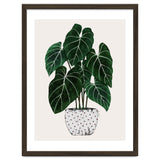 Philodendron Plant thumbnail