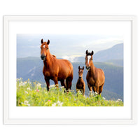 Three Horses