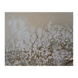 Lifted (Print Only) thumbnail