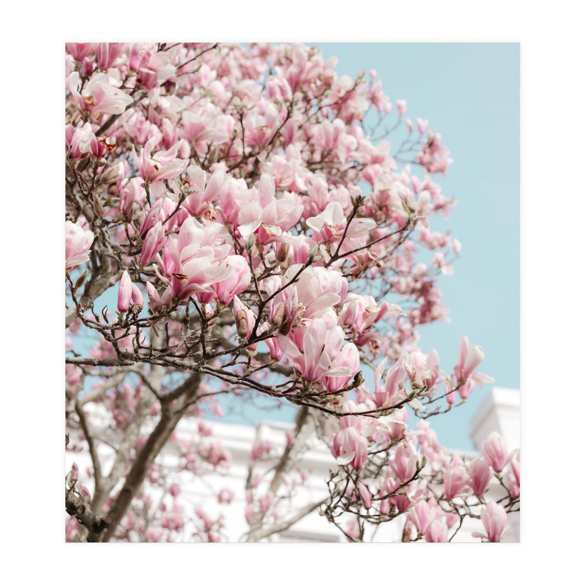 Spring Time (Print Only)