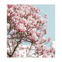 Spring Time (Print Only)
