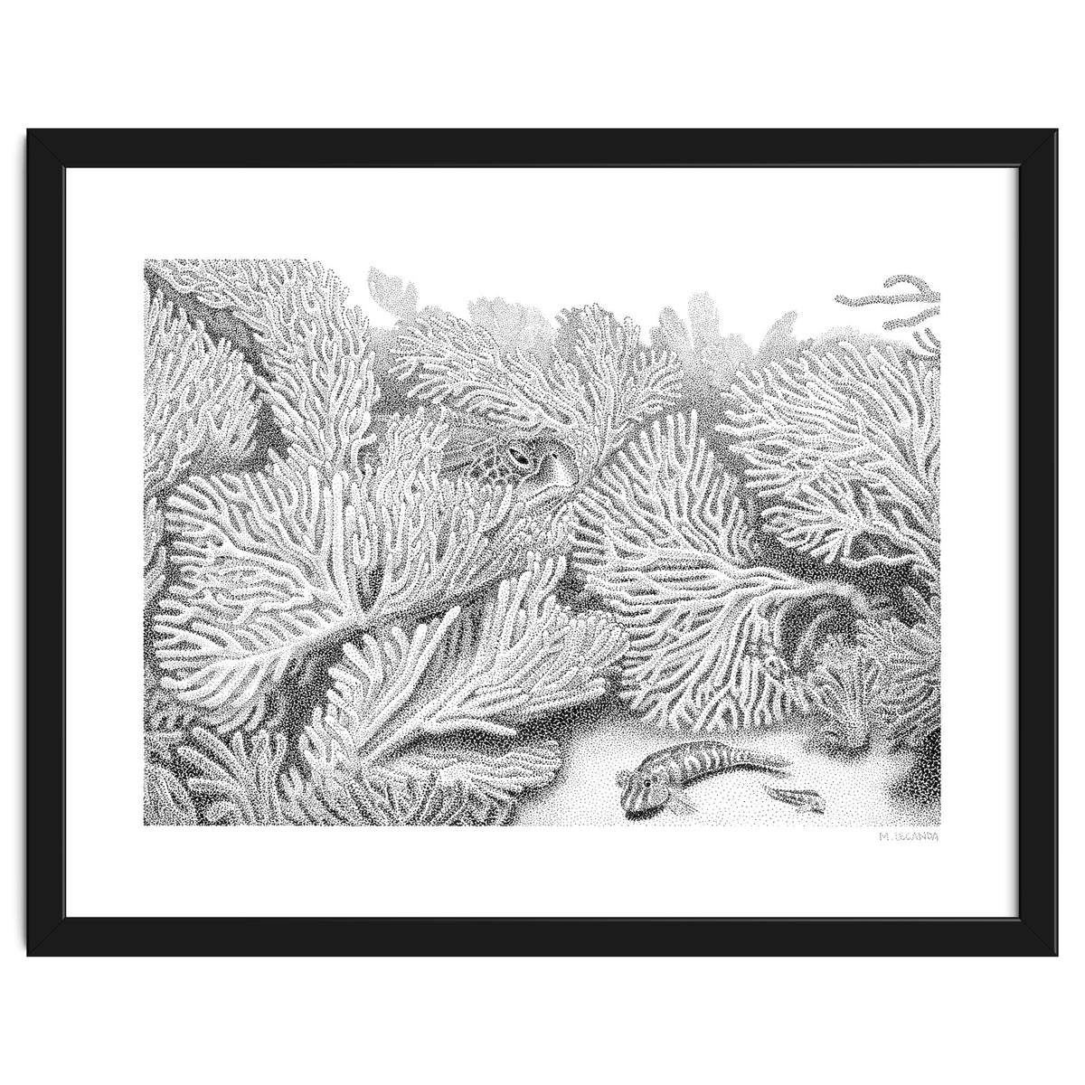 Hidden in plain sight