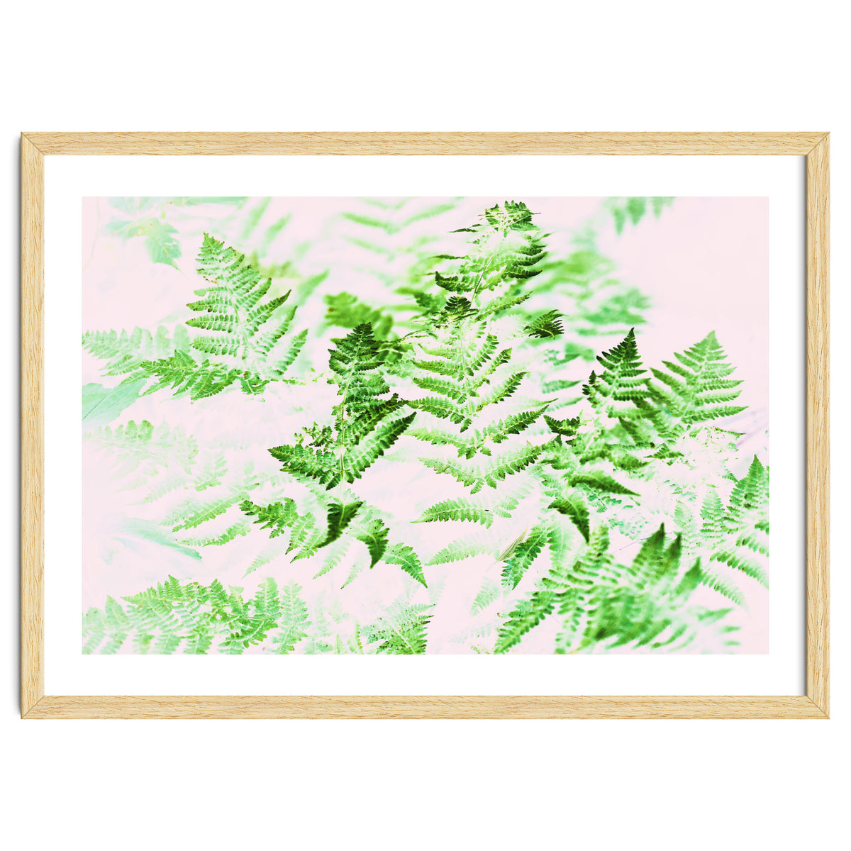 Fern Forest #society6 #decor #buyart