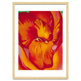Georgia O’Keeffe – Canna Red and Orange (1926) | Vibrant Modernist Floral Painting in Bold Organic Forms thumbnail