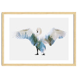 Swan thumbnail