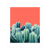Cactus On Coral (Print Only) thumbnail