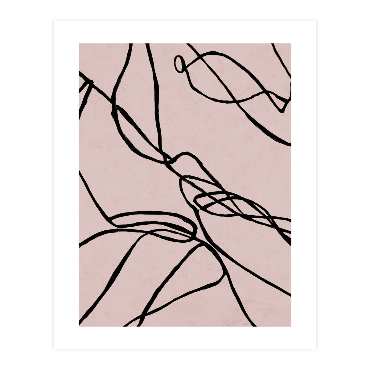 Lines on Rose (Print Only)