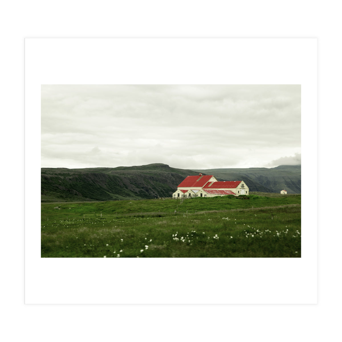 Red roof house in the greenfield - Iceland (Print Only)