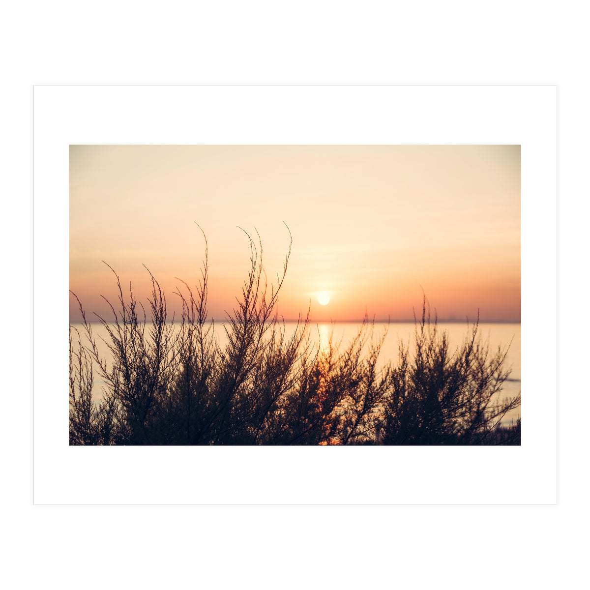 Orange Heatwave 2 (Print Only)