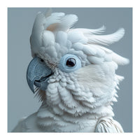 White Cockatoo Bird Portrait Close Up (Print Only)