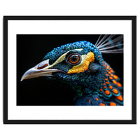 Close Up Of A Peacock Bird Head Eye