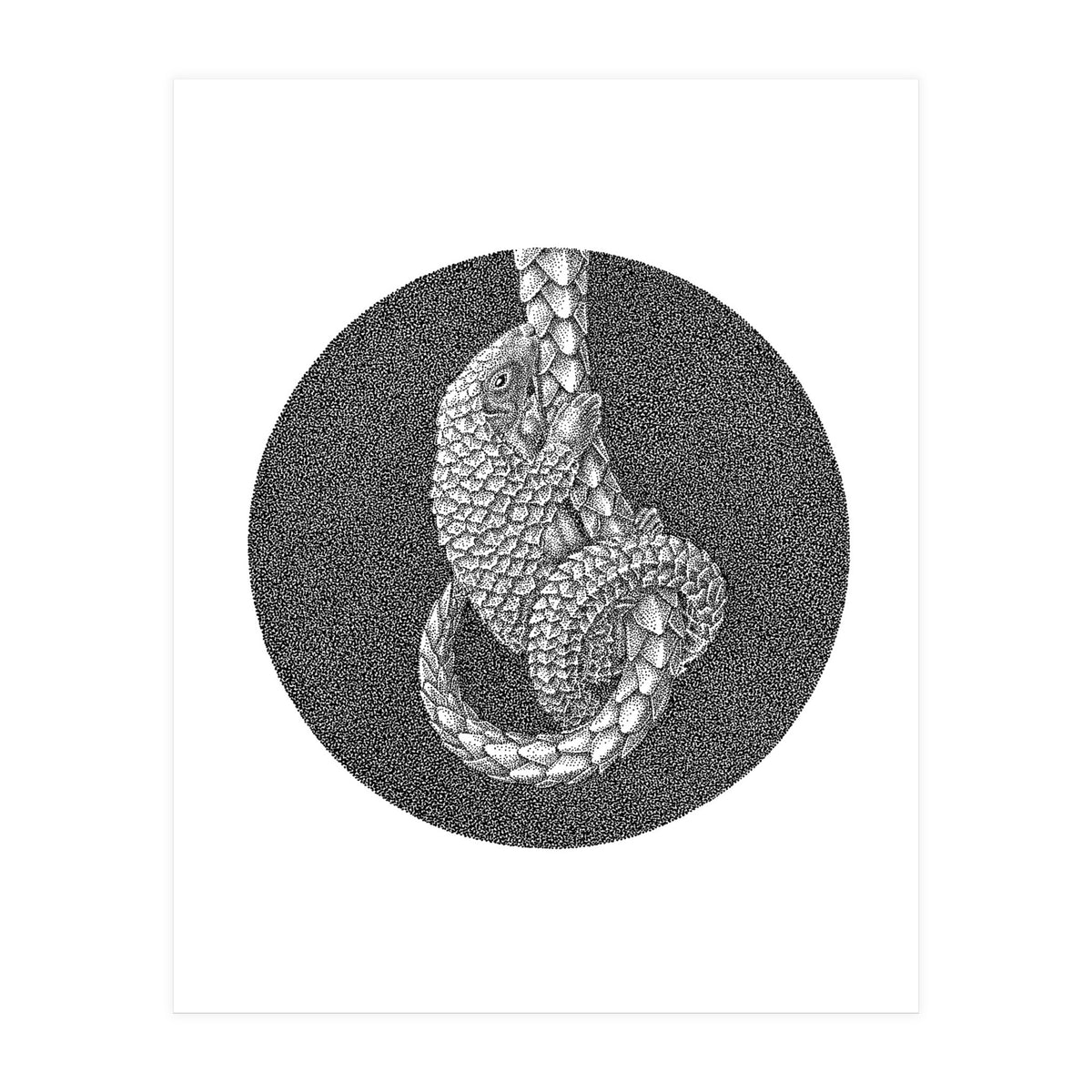 Pangolin no. 3 (Print Only)