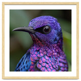 Vibrant Purple Bird With Water Droplets thumbnail