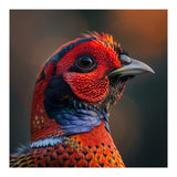 Close Up Pheasant Bird  (Print Only) thumbnail