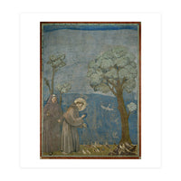 Saint Francis of Assisi preaching to the birds. Giotto. GIOTTO DE BONDONE (1266-1337). (Print Only)