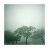 Silence of breath - 17 (Print Only) thumbnail