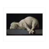 Agnus Dei - ca.1635-40 - oil on canvas - 37,3 x 62 cm - Spanish Baroque - NP 7293. (Print Only) thumbnail