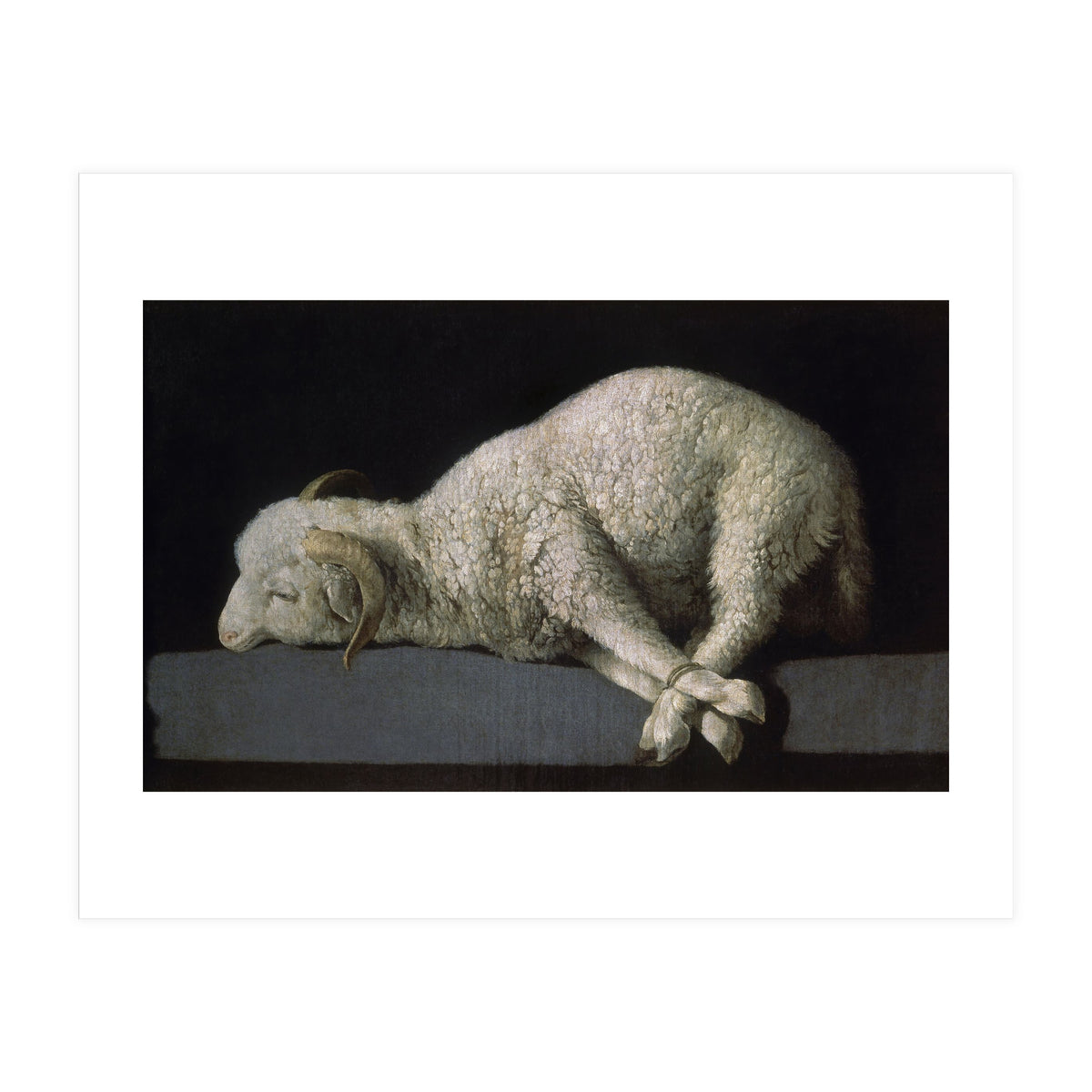 Agnus Dei - ca.1635-40 - oil on canvas - 37,3 x 62 cm - Spanish Baroque - NP 7293. (Print Only)