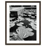 Lotus Pond | Black & White Portrait thumbnail